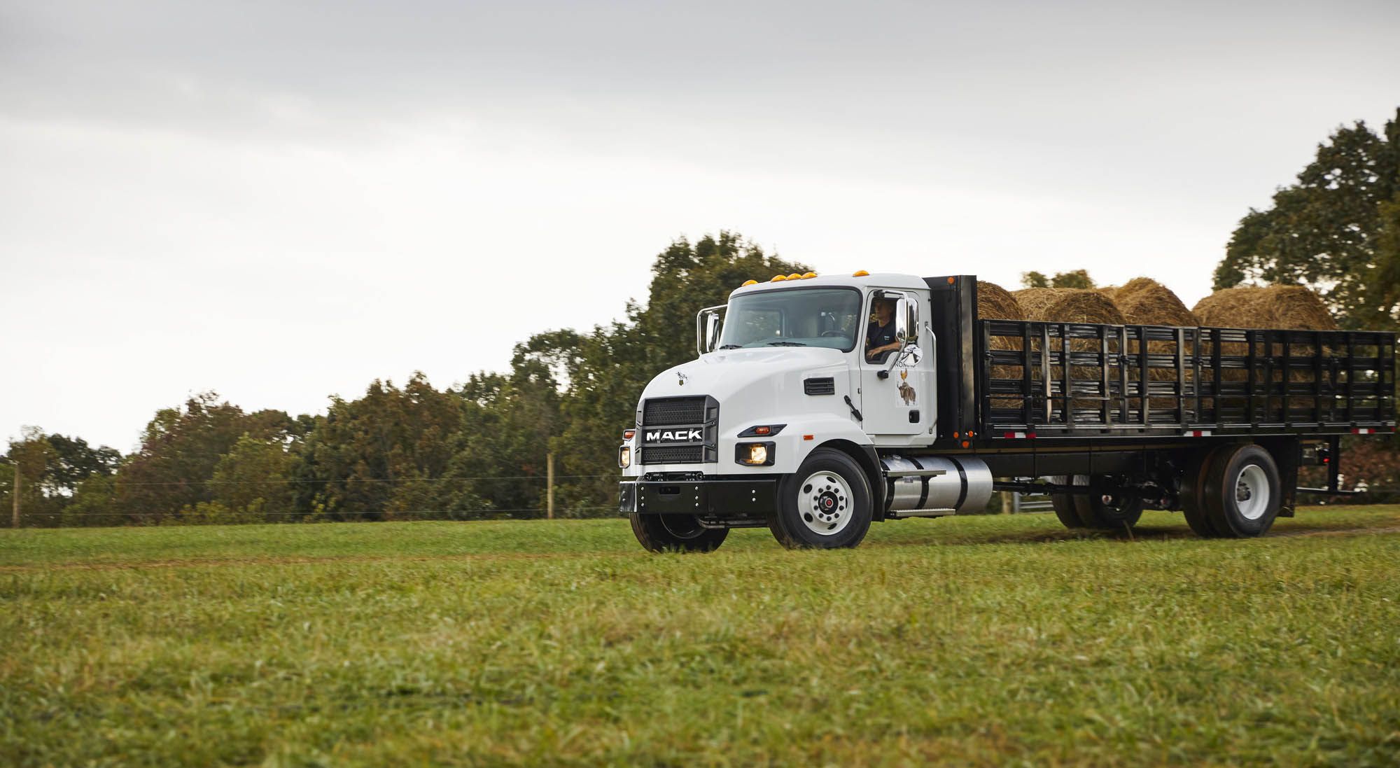 How to Purchase Salvage Medium Duty Trucks at Great Prices