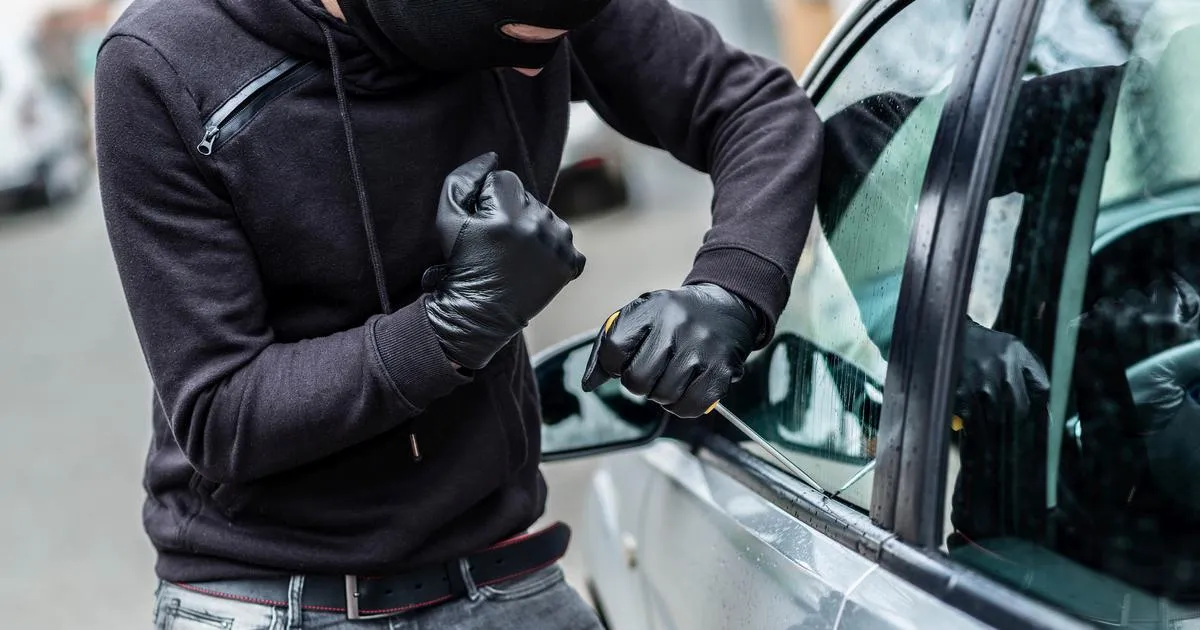 Salvage Titles Due to Theft: What It Means for Buyers